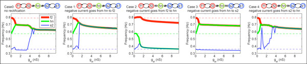 A figure from The rectification of an electrical synapse can change the functional output of a pattern-generating circuit