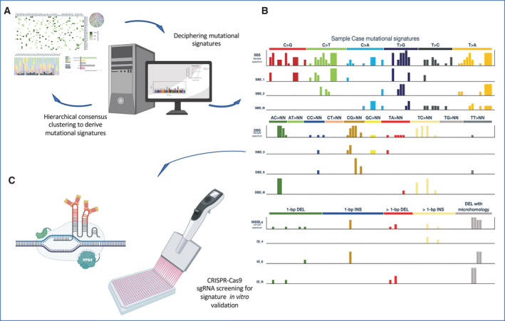 A figure from Global mapping of cancers: The Cancer Genome Atlas and beyond Global mapping of cancer C. Ganini <i> et al </i> .