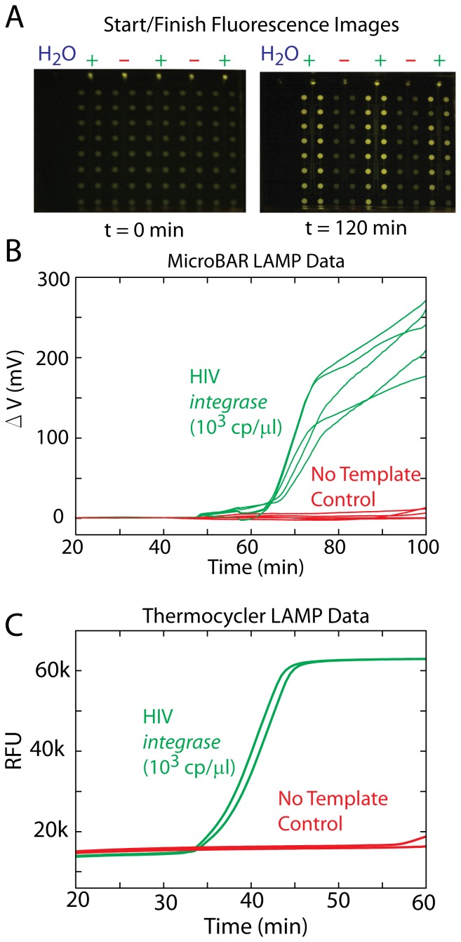 A figure from A Handheld Point-of-Care Genomic Diagnostic System A Handheld Point-of-Care Genomic Diagnostic System