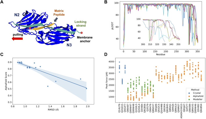 A figure from Protein structure prediction in the era of AI: Challenges and limitations when applying to <i> in silico </i> force spectroscopy Gomes et al. 10.3389/fbinf.2022.983306