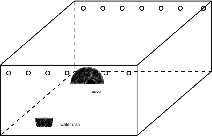 A figure from Animal-appropriate housing of ball pythons ( <i> Python regius </i> )—Behavior-based evaluation of two types of housing systems Animal-appropriate housing of ball pythons ( <i> Python regius </i> )