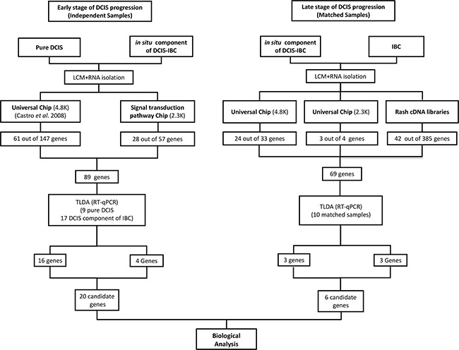 A figure from Epithelial cells captured from ductal carcinoma <i> in situ </i> reveal a gene expression signature associated with progression to invasive breast cancer