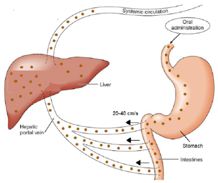 A figure from FDA and EMA Oversight of Disruptive Science on Application of Finite Absorption Time (F.A.T.) Concept in Oral Drug Absorption: Time for Scientific and Regulatory Changes