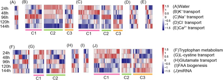 A figure from Complementary Roles of DNA Methylation and miRNA in Regulating Gene Expression Under Environmental Stress in Biological Invasions