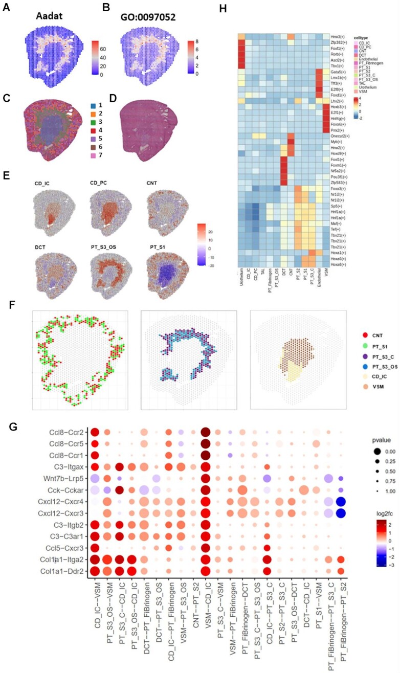 A figure from SPASCER: spatial transcriptomics annotation at single-cell resolution