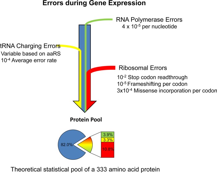 A figure from Errors during Gene Expression: Single-Cell Heterogeneity, Stress Resistance, and Microbe-Host Interactions Minireview