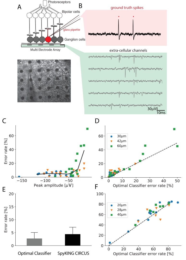 A figure from A spike sorting toolbox for up to thousands of electrodes validated with ground truth recordings in vitro and in vivo
