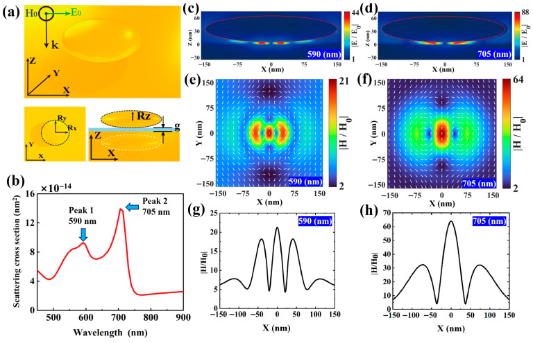 A figure from Magnetic Purcell Enhancement by Plasmon-Induced Magnetic Anapole Mode in the Gap of Oblate Nano-Ellipsoid on Metal Mirror Structure
