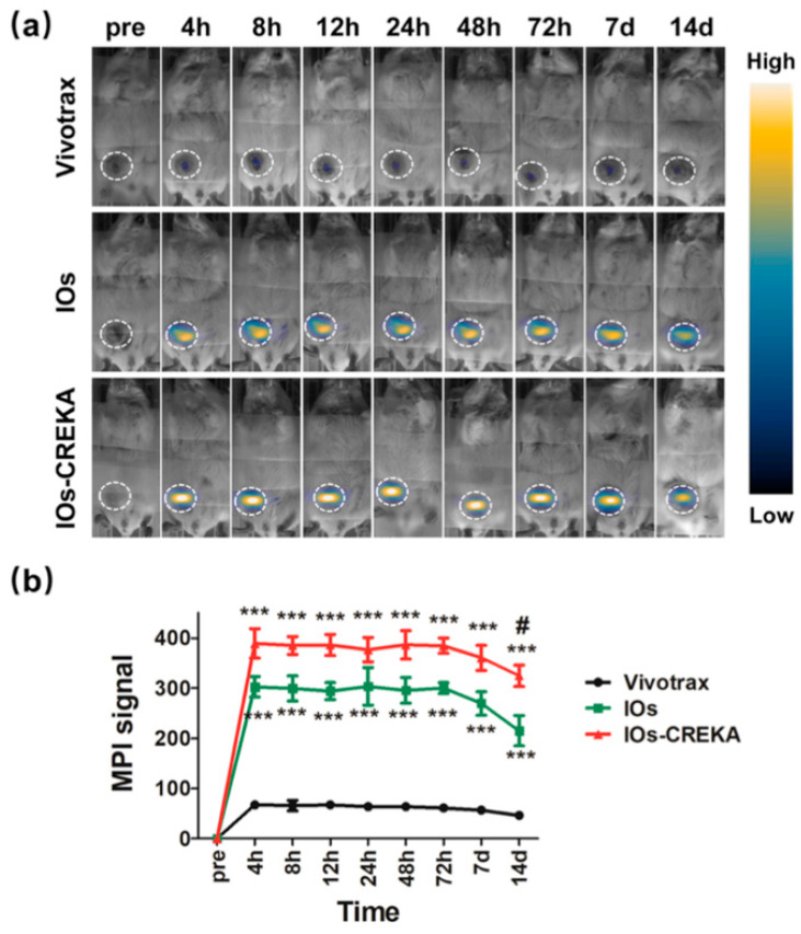A figure from Magnetic Particle Imaging: Current and Future Applications, Magnetic Nanoparticle Synthesis Methods and Safety Measures