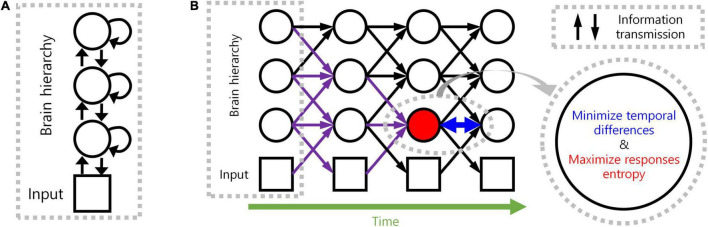 A figure from Spatio-Temporally Efficient Coding Assigns Functions to Hierarchical Structures of the Visual System