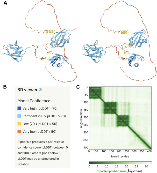 A figure from AlphaFold 2 and NMR Spectroscopy: Partners to Understand Protein Structure, Dynamics and Function Laurents AlphaFold 2 and NMR Spectroscopy