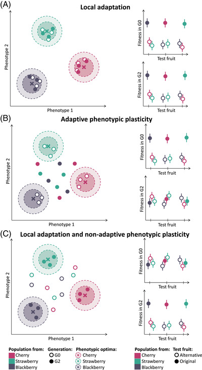 A figure from Rapid and transient evolution of local adaptation to seasonal host fruits in an invasive pest fly L. OLAZCUAGA ET AL. RAPID LOCAL ADAPTATION IN <i> DROSOPHILA SUZUKII </i>