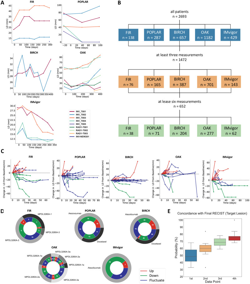 A figure from Classical mathematical models for prediction of response to chemotherapy and immunotherapy Prediction of tumor response to chemotherapy and immunotherapy