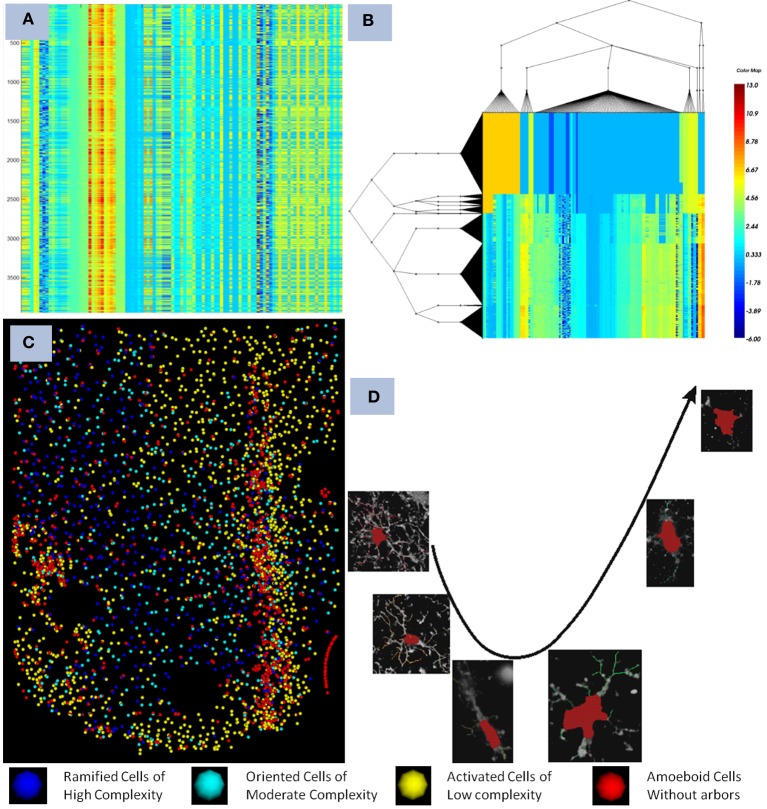 A figure from Large-scale automated image analysis for computational profiling of brain tissue surrounding implanted neuroprosthetic devices using Python
