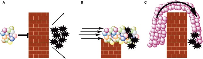 A figure from Demystifying Cancer Immunotherapy for Lay Audiences