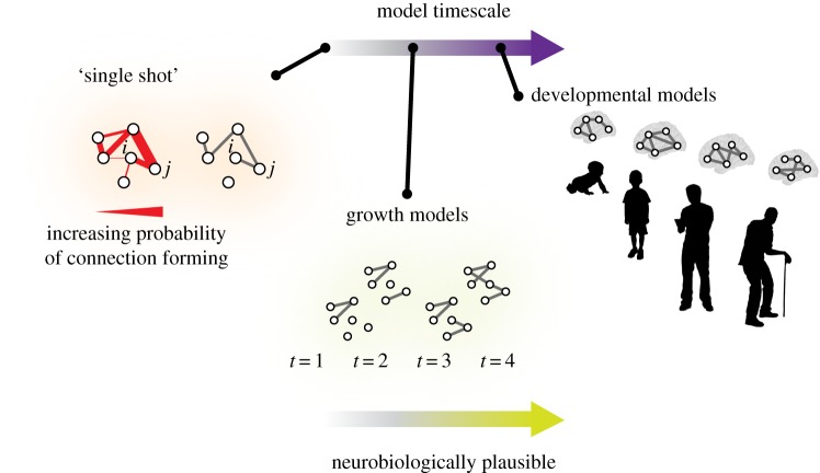 A figure from Generative models for network neuroscience: prospects and promise Generative models for network neuroscience: prospects and promise