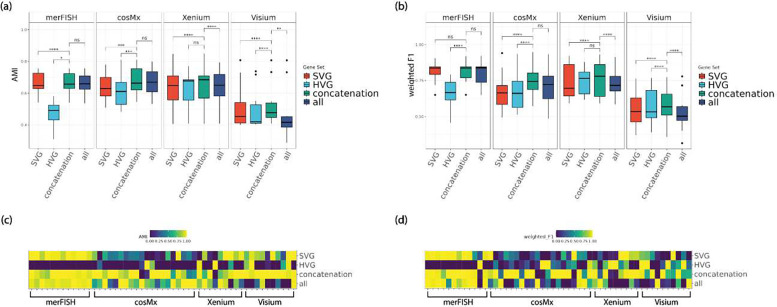 A figure from Adding Highly Variable Genes to Spatially Variable Genes Can Improve Cell Type Clustering Performance in Spatial Transcriptomics Data