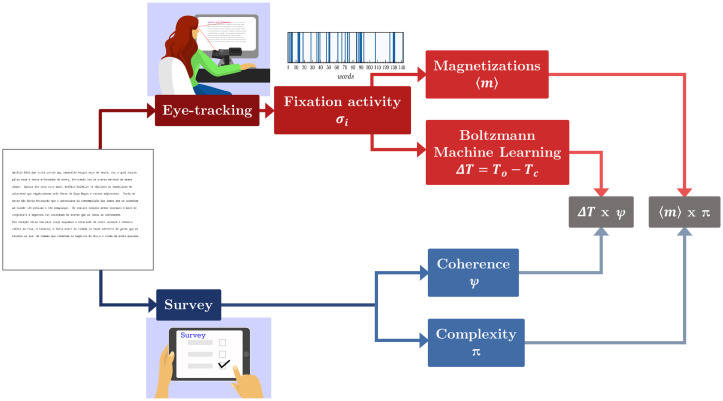A figure from Eye-tracking as a proxy for coherence and complexity of texts Eye-tracking as a proxy for coherence and complexity of texts