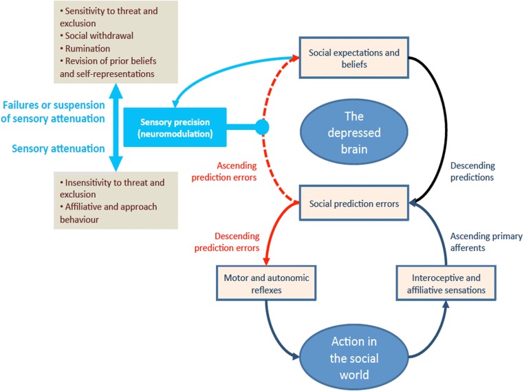 A figure from The hierarchically mechanistic mind: an evolutionary systems theory of the human brain, cognition, and behavior