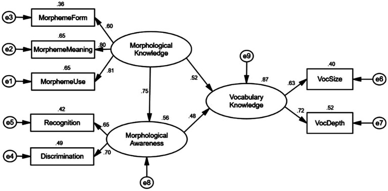 A figure from Examining the dimensionality of morphological knowledge and morphological awareness and their effects on second language vocabulary knowledge