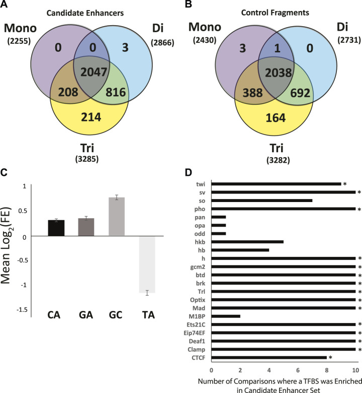 A figure from Comprehensive Genomic Discovery of Non-Coding Transcriptional Enhancers in the African Malaria Vector <i> Anopheles coluzzii </i> Holm et al. <i> Anopheles </i> Transcriptional Enhancer Map