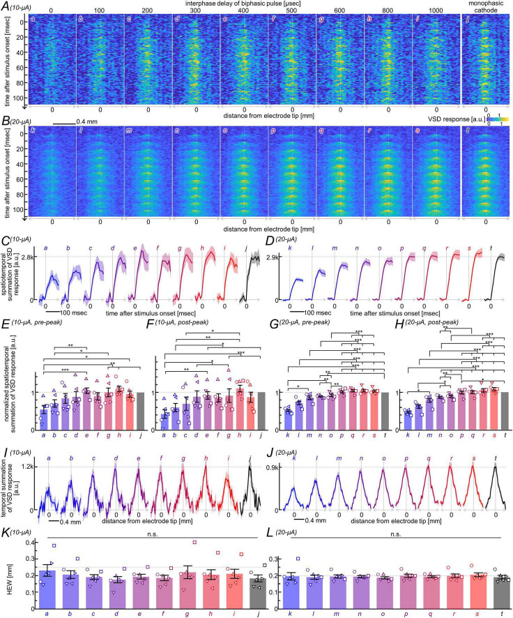 A figure from Optimal interphase delay in biphasic current pulses facilitates neural circuit activation induced by microstimulation in the mouse visual cortex