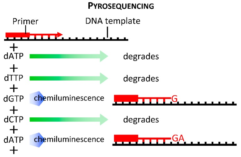 A figure from The Transcriptomic Toolbox: Resources for Interpreting Large Gene Expression Data within a Precision Medicine Context for Metabolic Disease Atherosclerosis