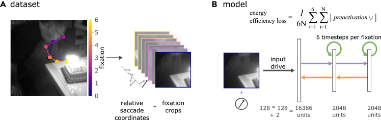 A figure from Predictive remapping and allocentric coding as consequences of energy efficiency in recurrent neural network models of active vision