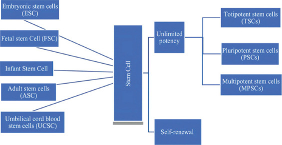 A figure from Therapeutic effects of stem cells in different body systems, a novel method that is yet to gain trust: A comprehensive review