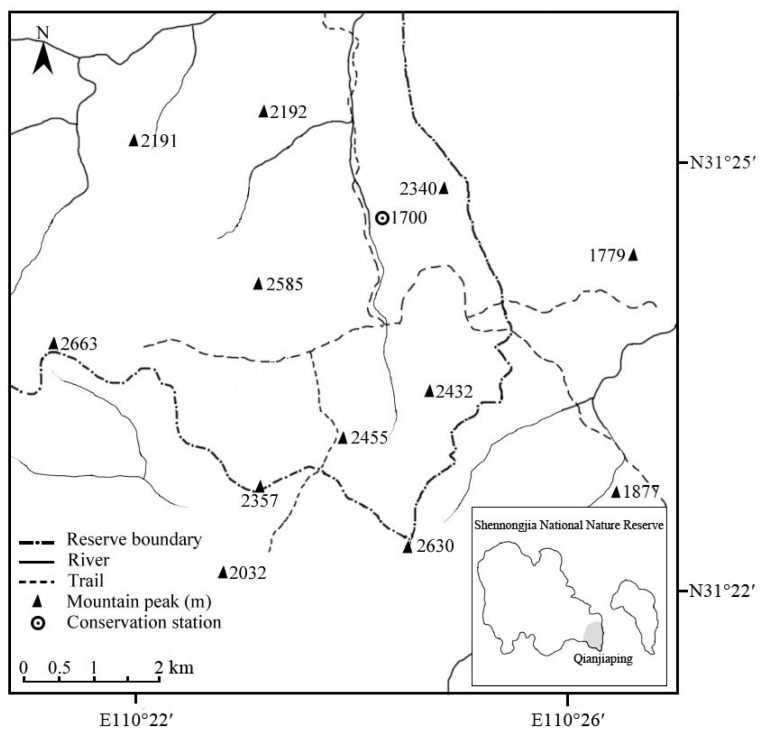 A figure from Home range variation of two different-sized groups of golden snub-nosed monkeys ( <i> Rhinopithecus roxellana </i> ) in Shennongjia, China: implications for feeding competition