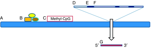 A figure from Whole-genome cancer analysis as an approach to deeper understanding of tumour biology Whole-genome cancer analysis