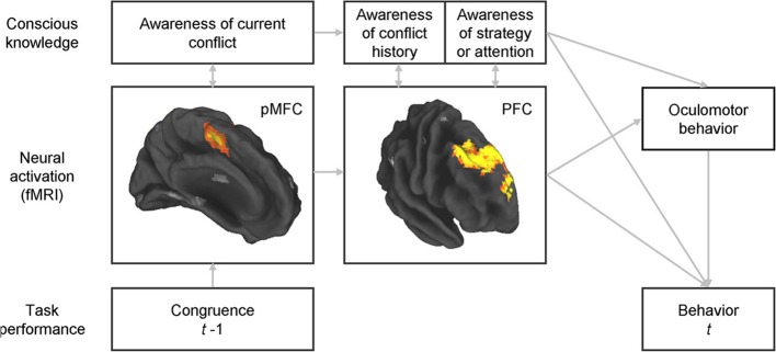 A figure from Conscious and unconscious processes in cognitive control: a theoretical perspective and a novel empirical approach