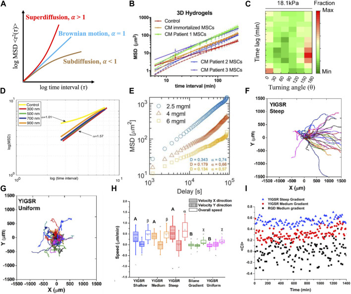 A figure from Quantification of cell migration: metrics selection to model application Hu et al. 10.3389/fcell.2023.1155882