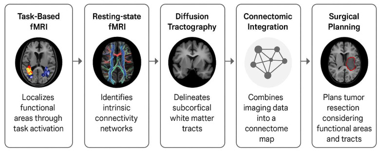 A figure from Advances in Preoperative and Intraoperative Technologies for Safe Resection of Gliomas in Cognitive Regions