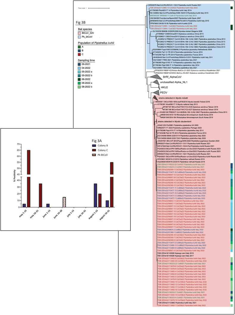 A figure from A multi-disciplinary approach to identify spillover interfaces of bat coronaviruses to pig farms in Italy Spillover interfaces between pigs and bats