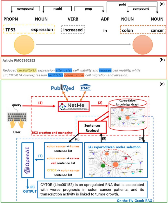 A figure from NetMe 2.0: a web-based platform for extracting and modeling knowledge from biomedical literature as a labeled graph