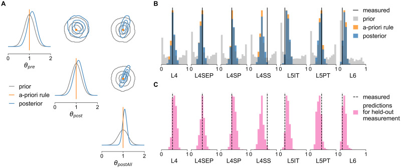 A figure from Simulation-based inference for efficient identification of generative models in computational connectomics Simulation-based inference for computational connectomics
