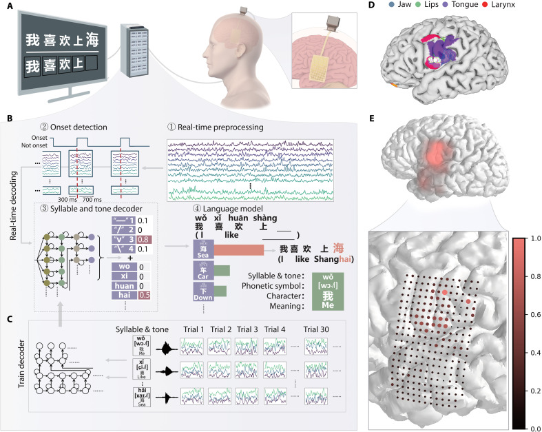 A figure from Real-time decoding of full-spectrum Chinese using brain-computer interface Real-time full-spectrum Chinese speech BCI