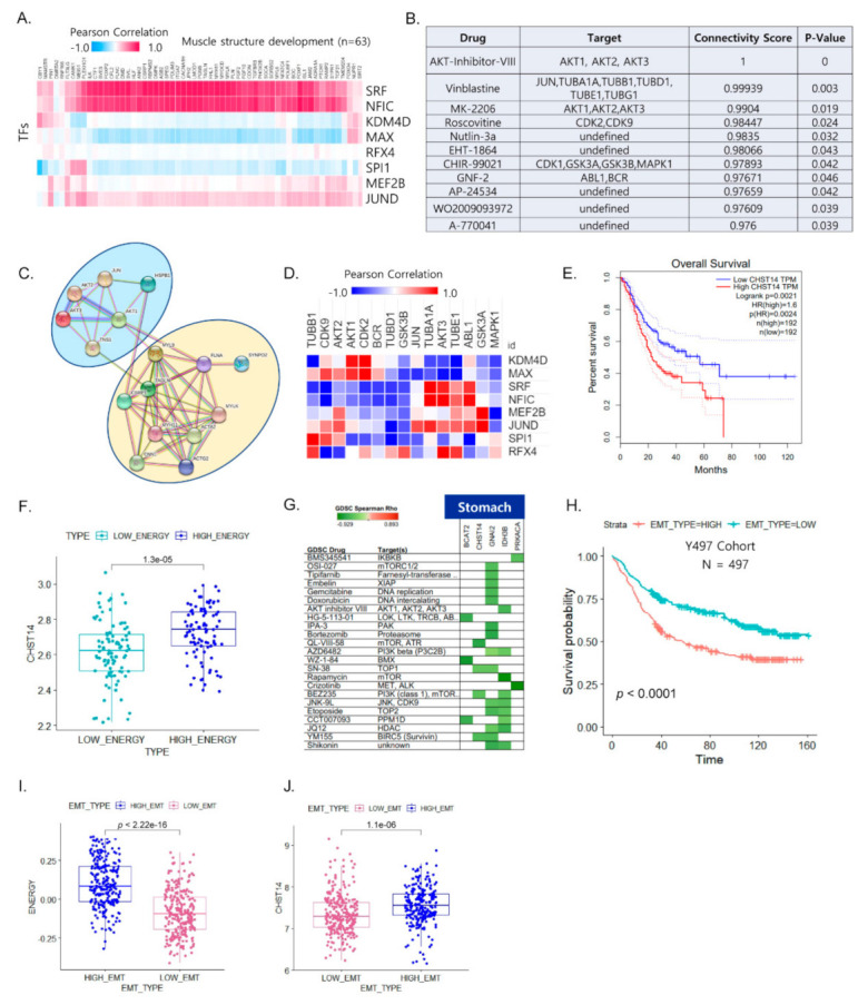 A figure from Pan-Cancer Analysis Reveals Distinct Metabolic Reprogramming in Different Epithelial–Mesenchymal Transition Activity States