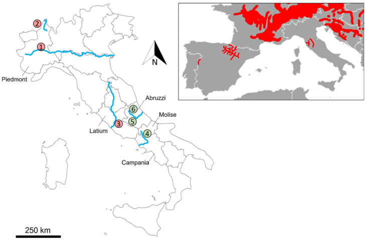 A figure from “Oops…a Beaver Again!” Eurasian Beaver <i> Castor fiber </i> Recorded by Citizen-Science in New Areas of Central and Southern Italy