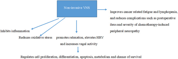 A figure from Putative role of non‐invasive vagus nerve stimulation in cancer pathology and immunotherapy: Can this be a hidden treasure, especially for the elderly? Abdullahi et al.