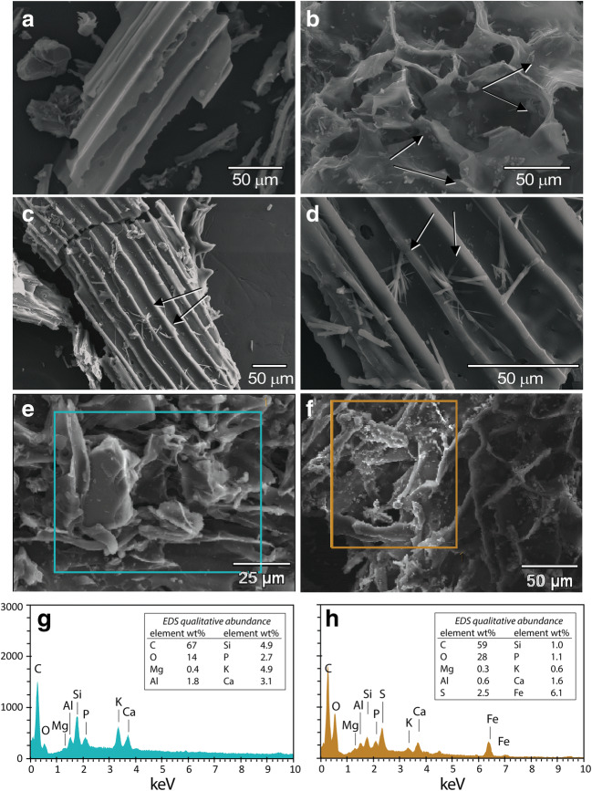 A figure from Biochar-templated surface precipitation and inner-sphere complexation effectively removes arsenic from acid mine drainage