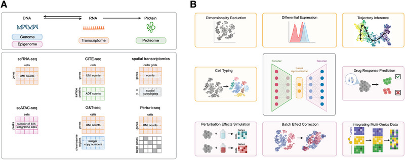 A figure from Towards the Next Generation of Data‐Driven Therapeutics Using Spatially Resolved Single‐Cell Technologies and Generative AI