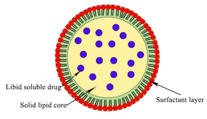 A figure from Nano targeted Therapies Made of Lipids and Polymers have Promising Strategy for the Treatment of Lung Cancer