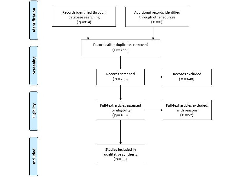 A figure from Factors Affecting Engagement in Web-Based Health Care Patient Information: Narrative Review of the Literature