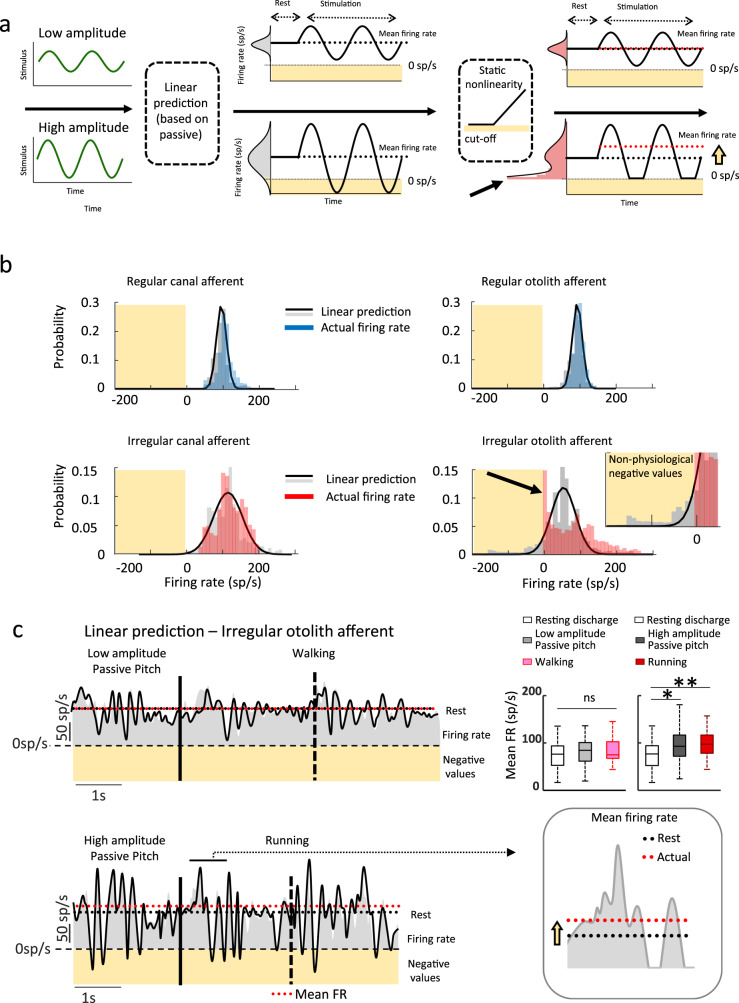 A figure from Context-independent encoding of passive and active self-motion in vestibular afferent fibers during locomotion in primates