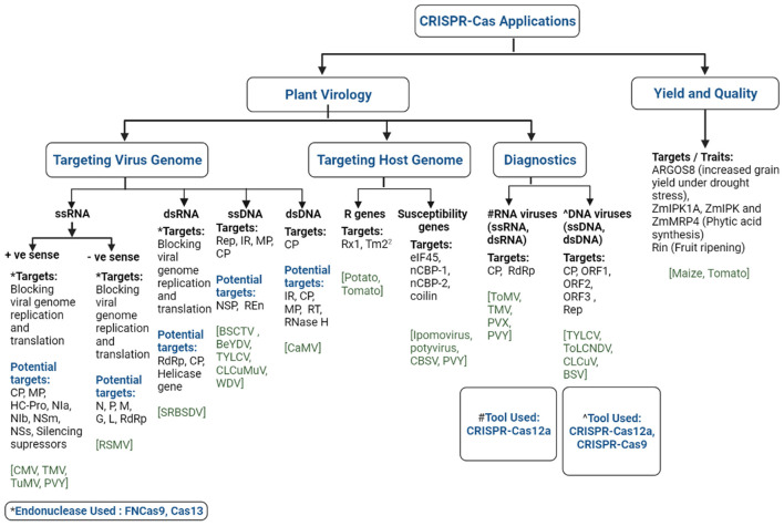 A figure from CRISPR-Cas-Led Revolution in Diagnosis and Management of Emerging Plant Viruses: New Avenues Toward Food and Nutritional Security
