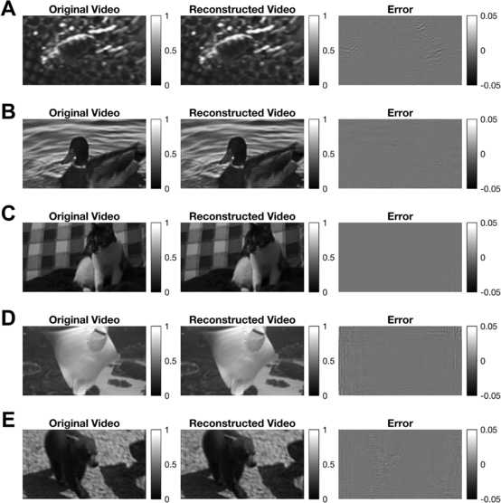 A figure from Sparse Functional Identification of Complex Cells from Spike Times and the Decoding of Visual Stimuli