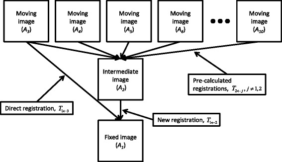 A figure from How much will linked deformable registrations decrease the quality of multi-atlas segmentation fusions?