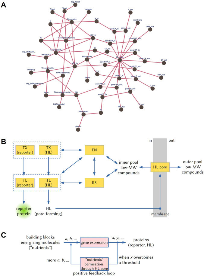 A figure from Monitoring the advancements in the technology of artificial cells by determining their complexity degree: Hints from complex systems descriptors Gentili and Stano 10.3389/fbioe.2023.1132546